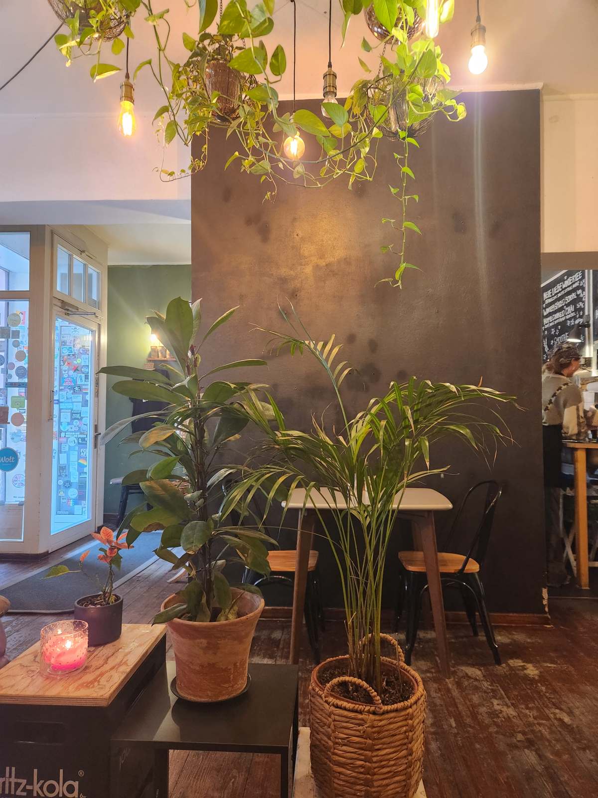 Inneneinrichtung mit Pflanzen